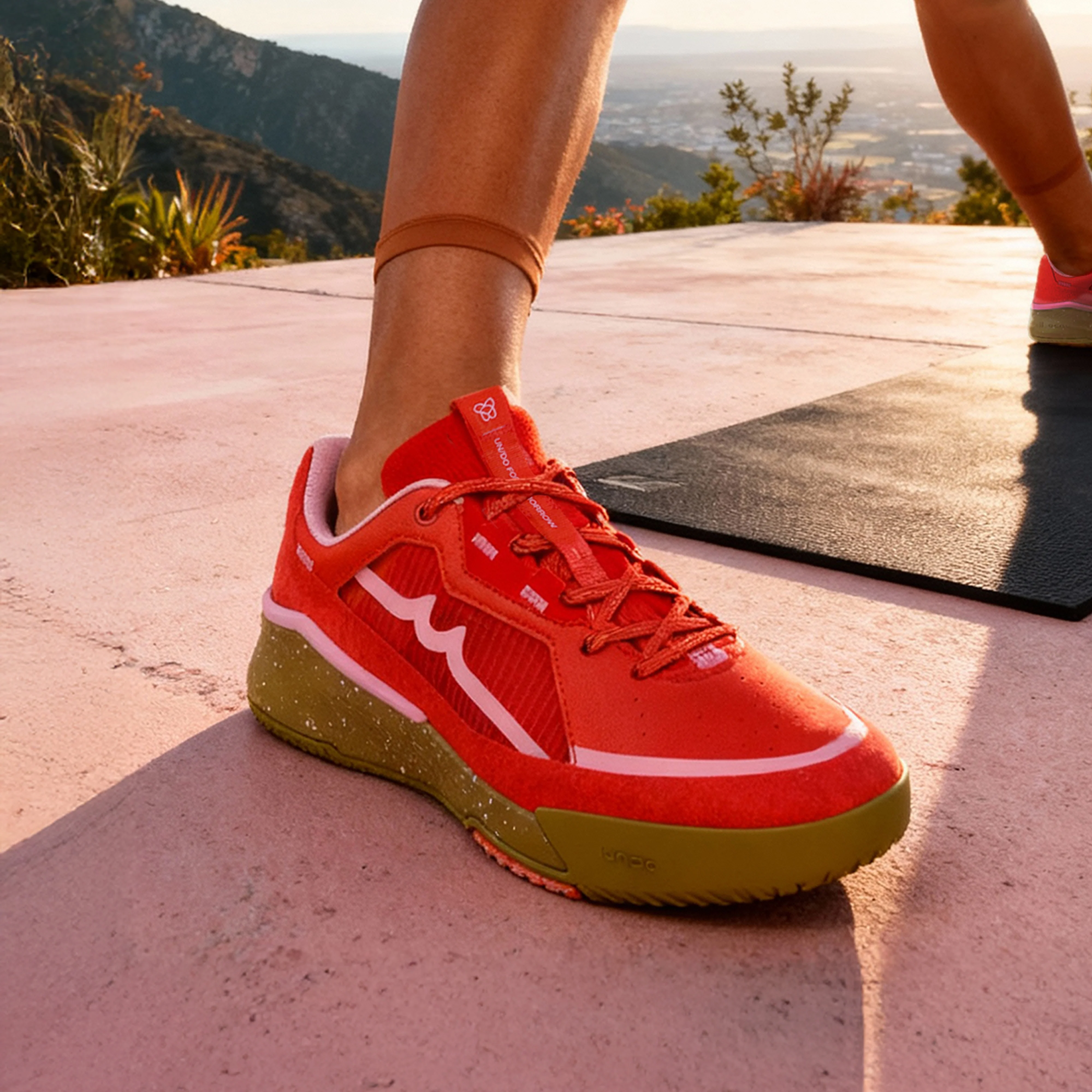 Jaguar Bougainville - Image 6