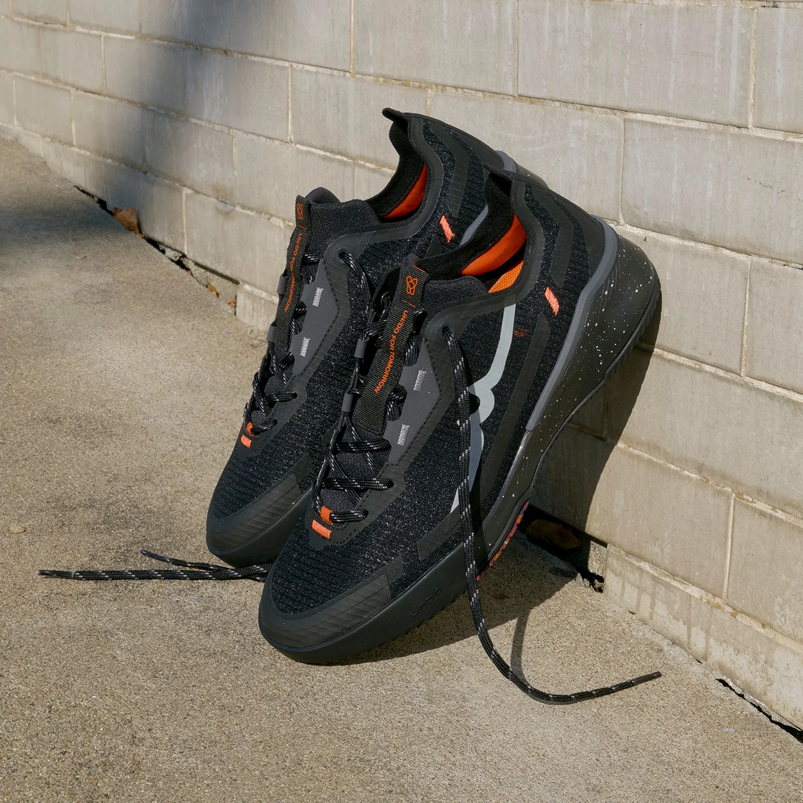 Jaguar Sport Black Bird - Image 7